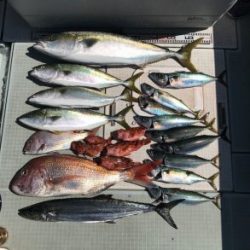 さぶろう丸 釣果