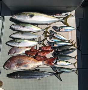 さぶろう丸 釣果