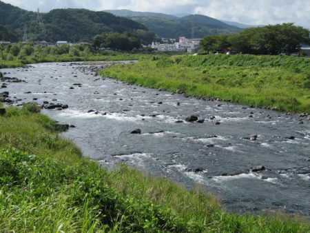 狩野川（狩野川漁業協同組合） 釣果
