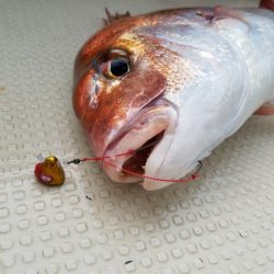 遊漁船 ニライカナイ 釣果