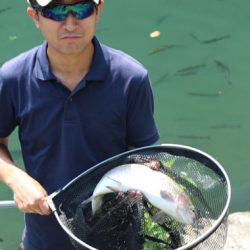 小菅トラウトガーデン 釣果