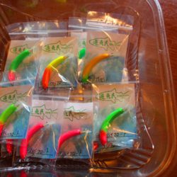 小菅トラウトガーデン 釣果