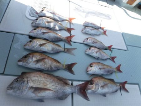 遊漁船 幸友丸 釣果