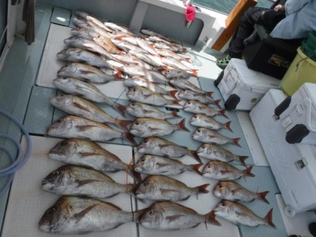遊漁船 幸友丸 釣果