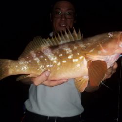 Magic（マジック） 釣果