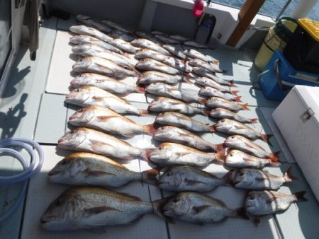 遊漁船 幸友丸 釣果