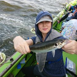 深川 吉野屋 釣果