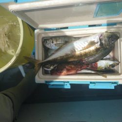 深川 吉野屋 釣果