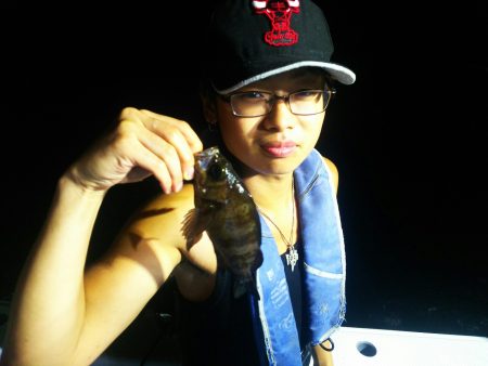 深川 吉野屋 釣果