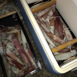 寿裕 （YOSHIHIRO） 釣果