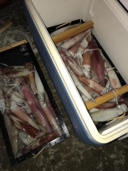 寿裕 （YOSHIHIRO） 釣果