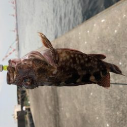 神戸ガシリング6