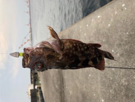 神戸ガシリング6