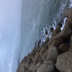 播磨オクトパッシング4