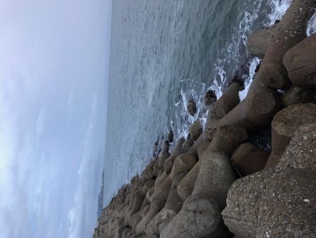 播磨オクトパッシング4