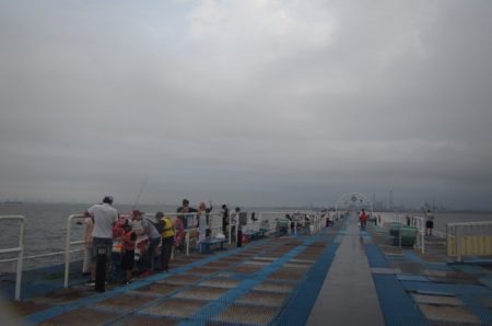 オリジナルメーカー海づり公園(市原市海づり施設) 釣果