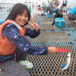オリジナルメーカー海づり公園(市原市海づり施設) 釣果