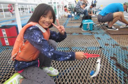 オリジナルメーカー海づり公園(市原市海づり施設) 釣果