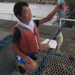 オリジナルメーカー海づり公園(市原市海づり施設) 釣果