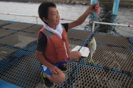 オリジナルメーカー海づり公園(市原市海づり施設) 釣果