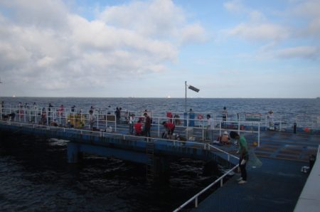 オリジナルメーカー海づり公園(市原市海づり施設) 釣果