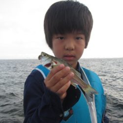 オリジナルメーカー海づり公園(市原市海づり施設) 釣果