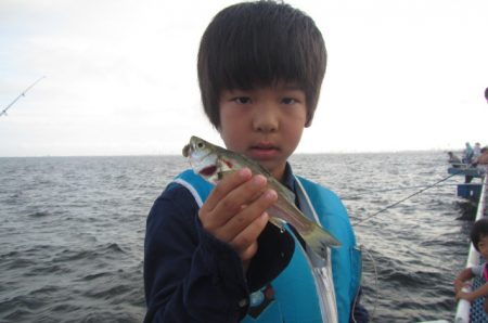オリジナルメーカー海づり公園(市原市海づり施設) 釣果