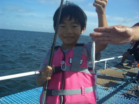 オリジナルメーカー海づり公園(市原市海づり施設) 釣果