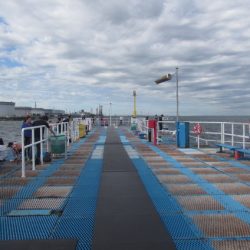 オリジナルメーカー海づり公園(市原市海づり施設) 釣果