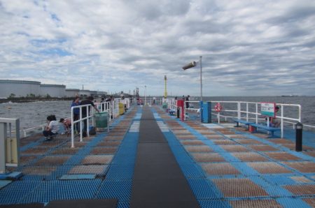 オリジナルメーカー海づり公園(市原市海づり施設) 釣果