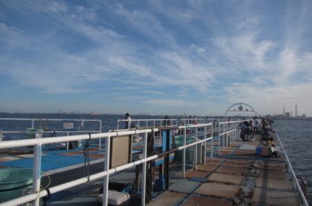 オリジナルメーカー海づり公園(市原市海づり施設) 釣果