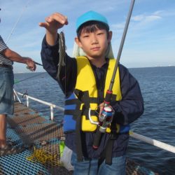 オリジナルメーカー海づり公園(市原市海づり施設) 釣果