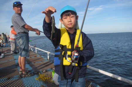 オリジナルメーカー海づり公園(市原市海づり施設) 釣果