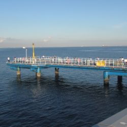 オリジナルメーカー海づり公園(市原市海づり施設) 釣果