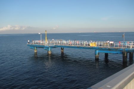 オリジナルメーカー海づり公園(市原市海づり施設) 釣果