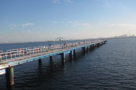 オリジナルメーカー海づり公園(市原市海づり施設) 釣果