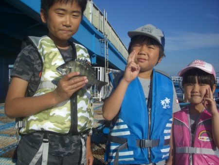 オリジナルメーカー海づり公園(市原市海づり施設) 釣果