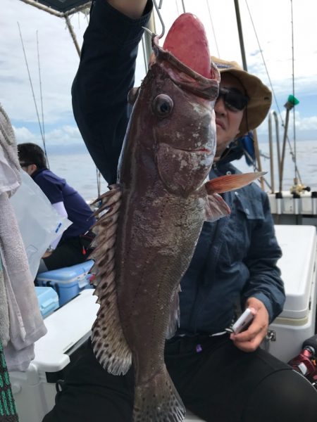 Blue.win 海人丸 釣果