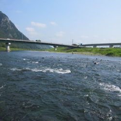 狩野川(狩野川漁業協同組合) 釣果