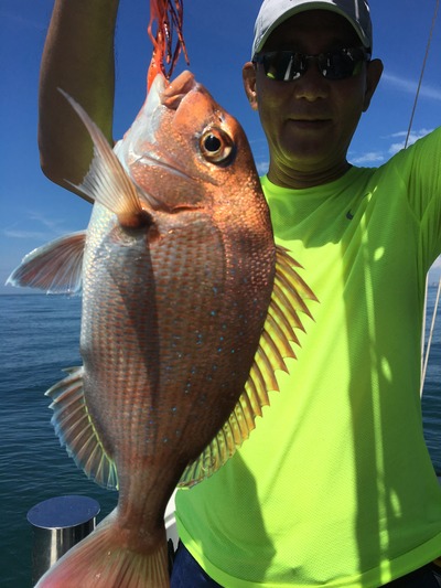 ミタチ丸 釣果