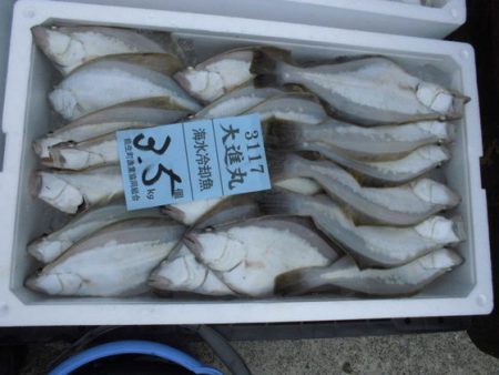 大進丸(新潟) 釣果