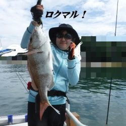 遊漁船 幸友丸 釣果