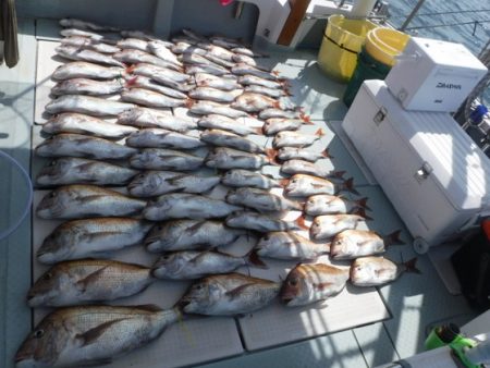 遊漁船 幸友丸 釣果