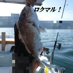 遊漁船 幸友丸 釣果