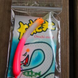 小菅トラウトガーデン 釣果