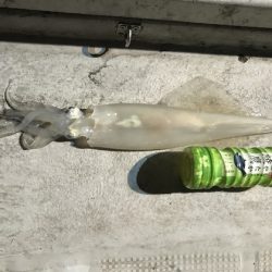 寿裕 （YOSHIHIRO） 釣果