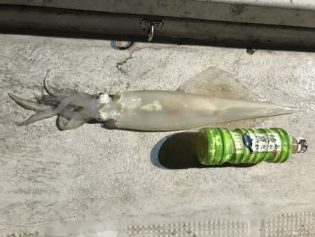 寿裕 （YOSHIHIRO） 釣果