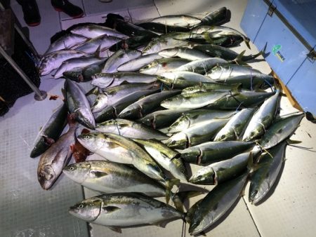 ふじしめ丸 釣果