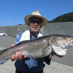 大進丸(新潟) 釣果