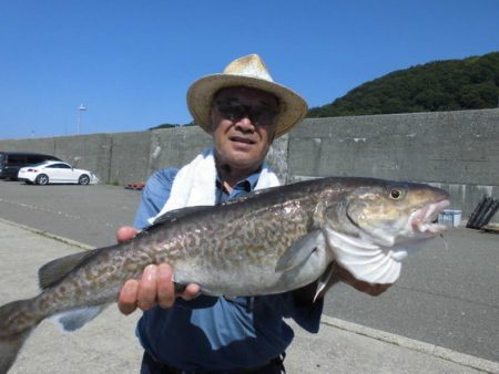 大進丸（新潟） 釣果
